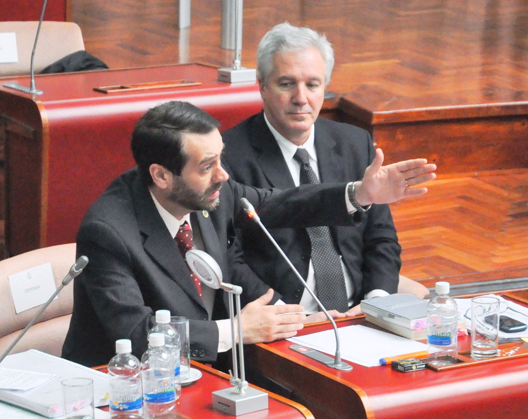 Panizzi: “Los argumentos de Meza Evans se caían a pedazos”