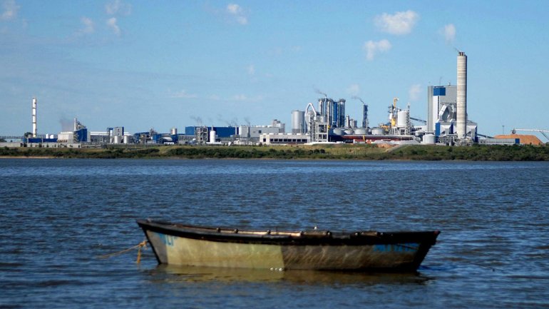 A Timerman le preocupa la situación por Botnia