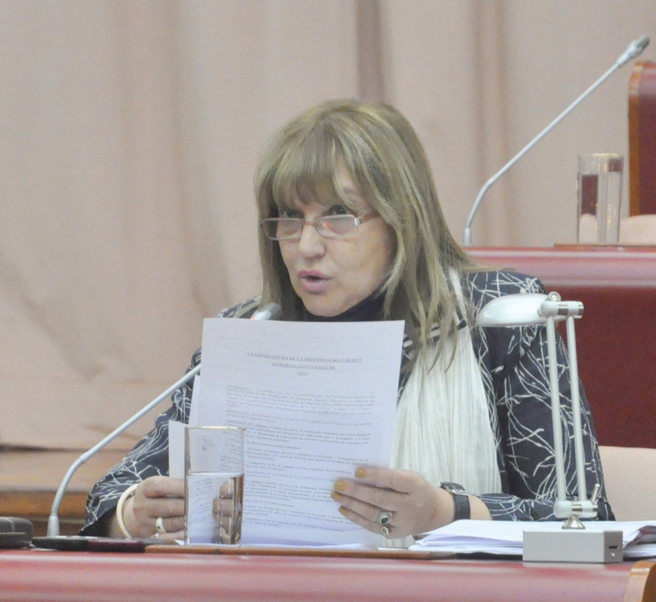 Willhuber: “La Ley Jubilatoria Docente es una reivindicación histórica”