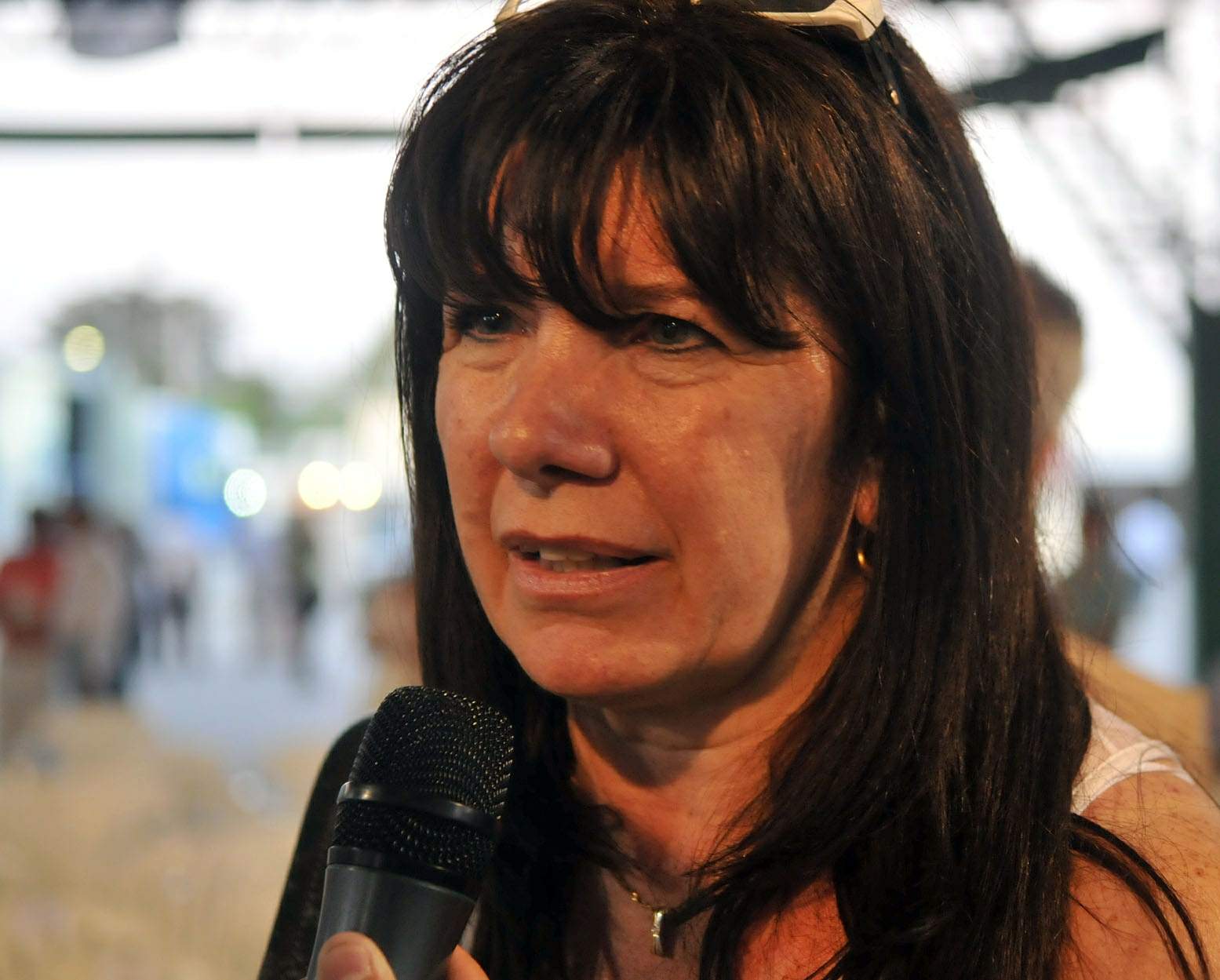 Dufour pidió «pensar en los intereses del conjunto de la provincia»