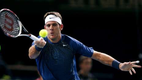 Del Potro venció a Cilic en París