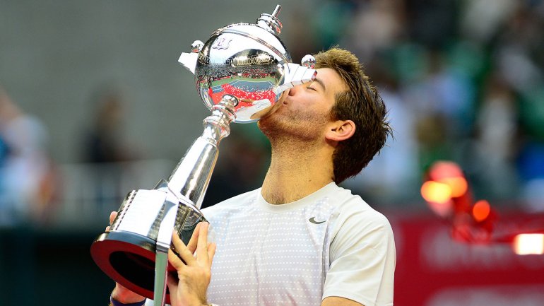 Del Potro se quedó con el título en Tokio