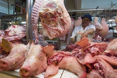 Bromatología advierte sobre consumo de porcinos