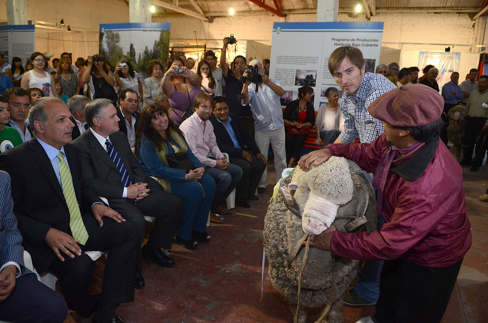 Buzzi anunció reactivación de sectores ganadero y lanero
