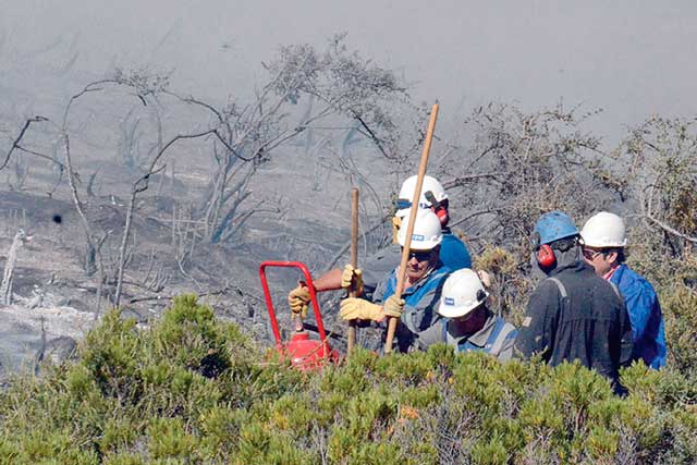 Controlan incendio de campos de YPF en El Trébol
