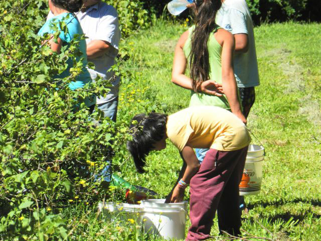 Rescatan a 13 menores explotados en Puelo