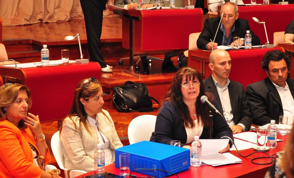 Dufour legislatura