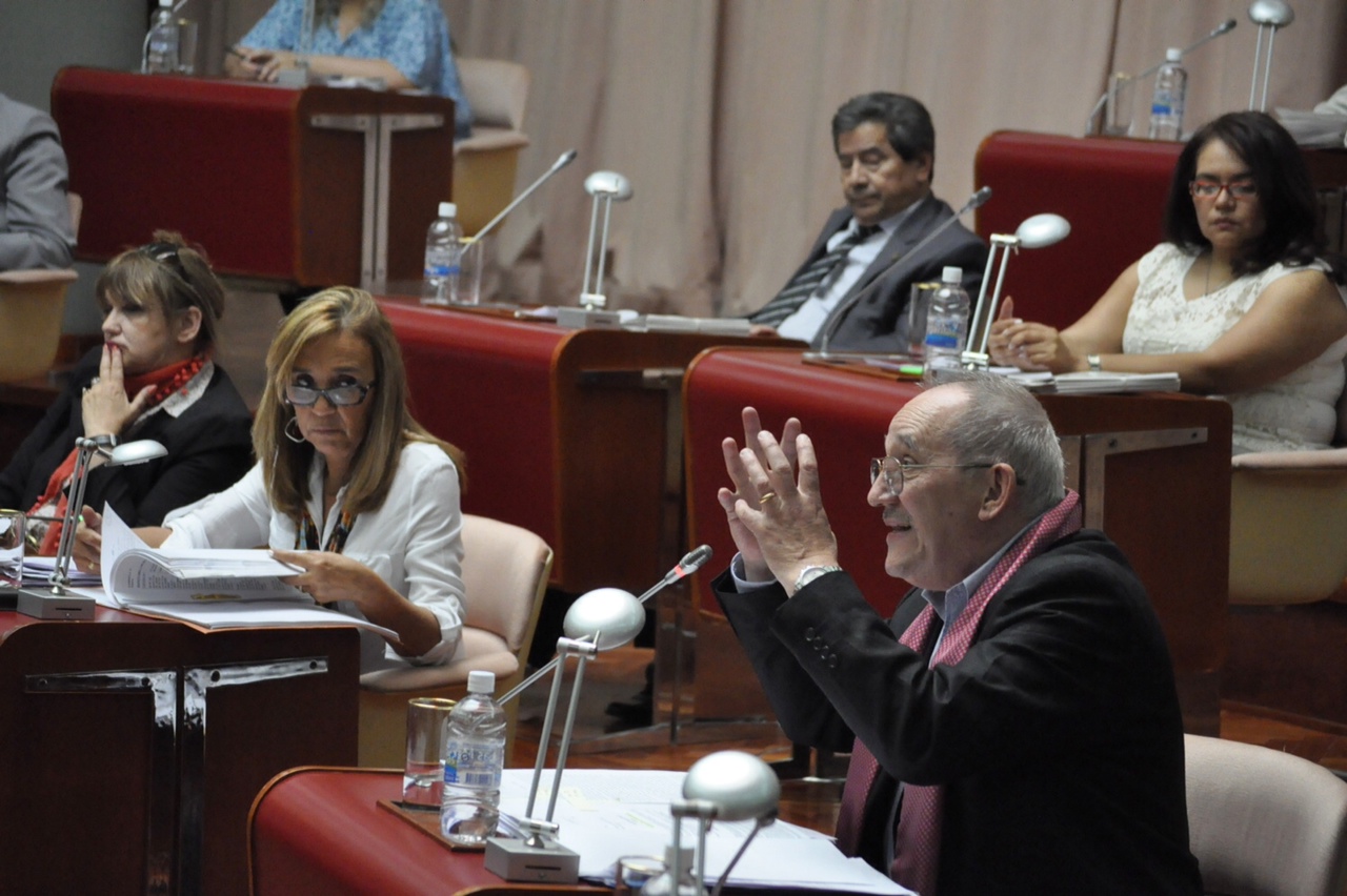 DNU: Postura negativa del radicalismo