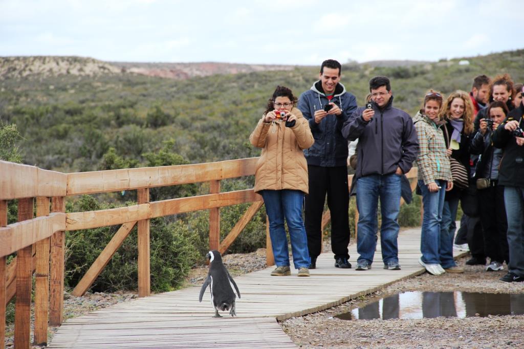 Punta Tombo tendrá entrada libre y gratuita
