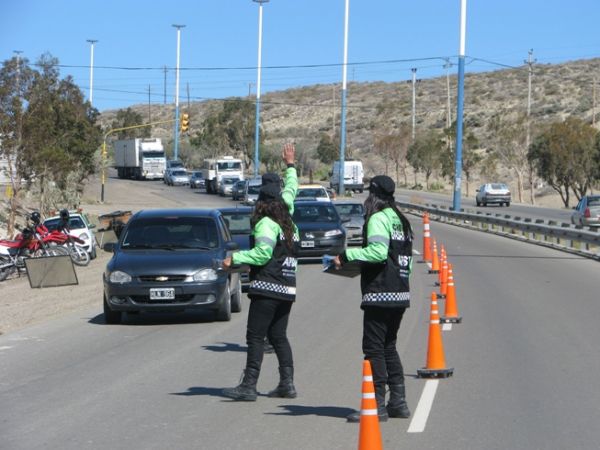 Comienza la emisión de las licencias únicas
