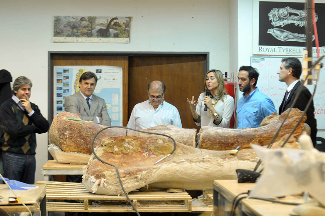 Difusión mundial de imágenes del fósil de Mega Dinosaurio