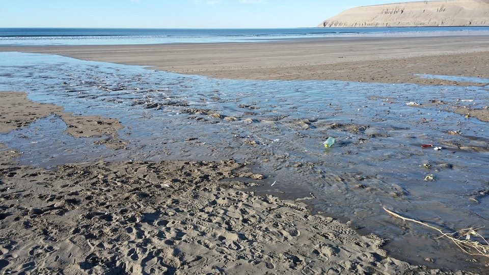 Juncos reconoció la preocupación por el agua vertida al mar