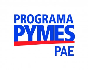 logo-pymes-pae-color 2