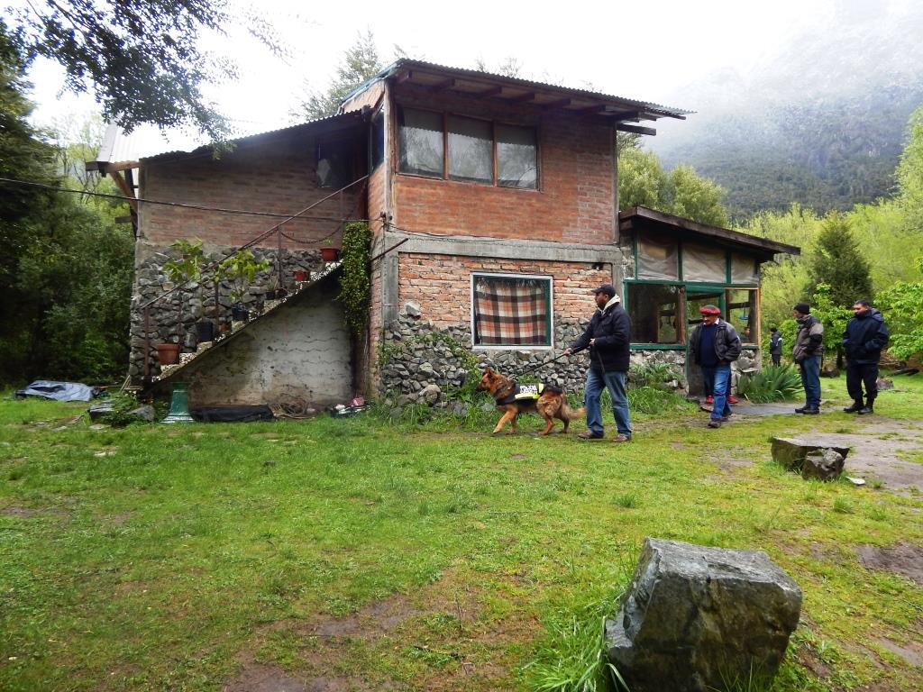 Secuestran cocaína y hongos alucinógenos