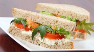 sandwich marihuana