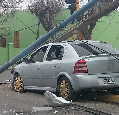 Un Astra se estrelló contra una palma