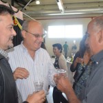 Brindis-II-web