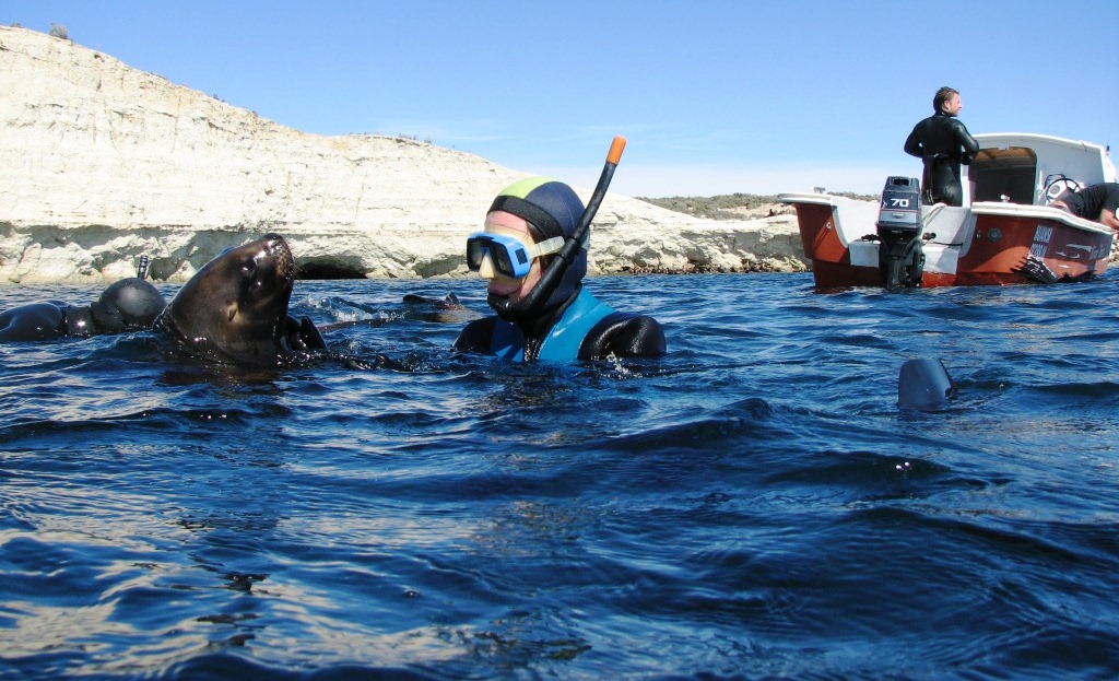 Por la gripe aviar en lobos marinos suspenden actividades de buceo y kayacs en Pirámides