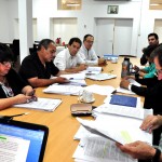 plenario 2