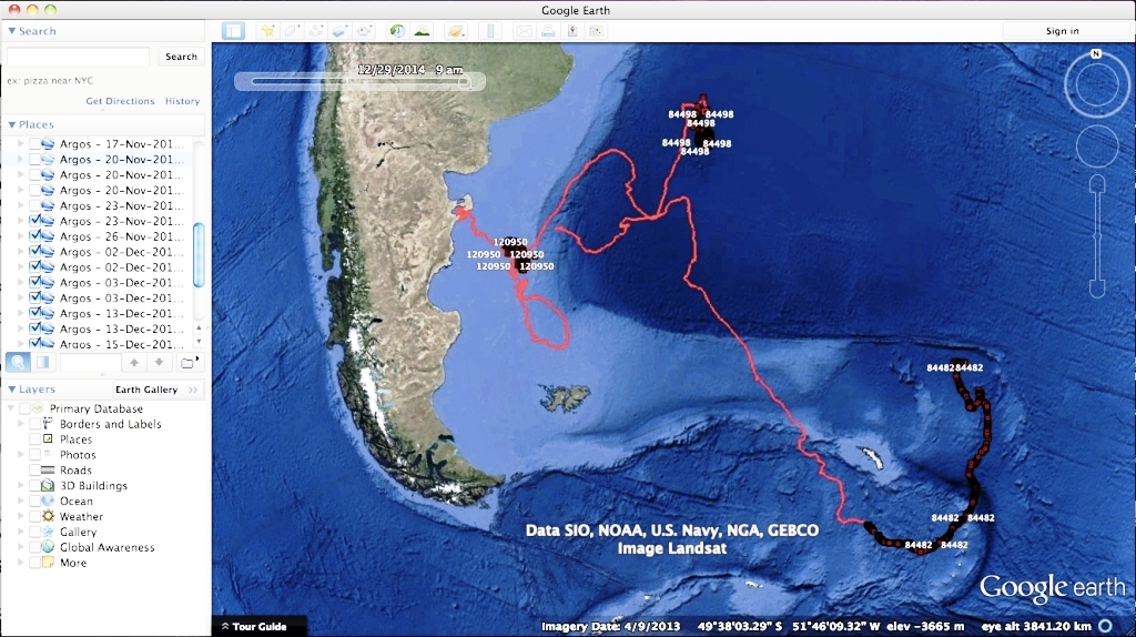 El seguimiento de la Ballena Franca se difunde al mundo