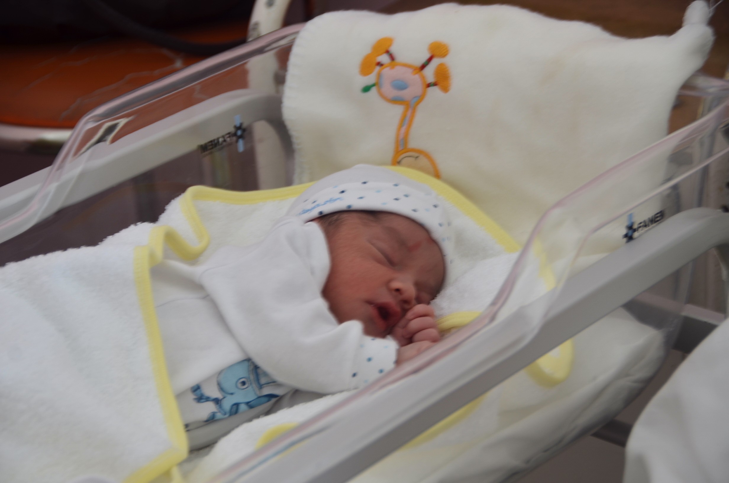 Enzo es el primer bebé del 2.015