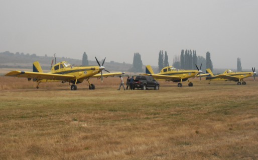 Llegaron los aviones que gestionó provincia