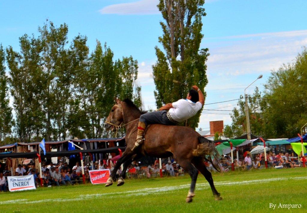 PAE acompaña la Fiesta de Doma y Folklore