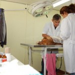 Esterilizacion