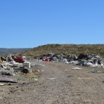 Recorrido basurales zona sur