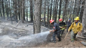 brigadistas incendios cordillera