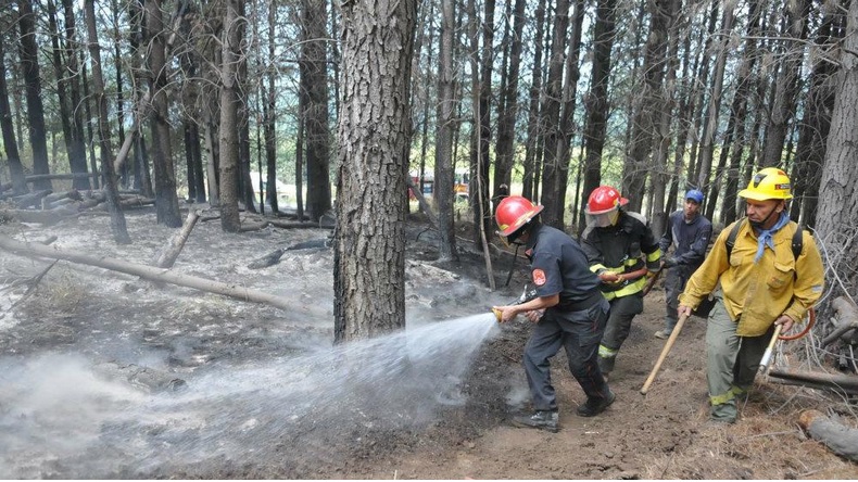 Lago Puelo: Otro incendio intencional