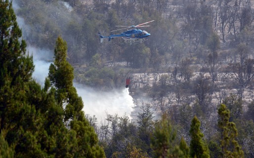 Fuego fuera de control: Se trabaja con todos los recursos para detener su avance