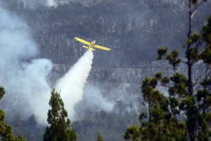 combate incendio cholila3