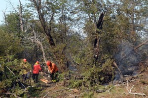 combate incendio cholila8