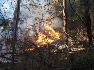 incendio orestal
