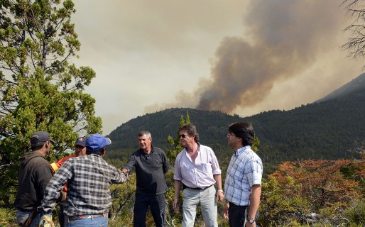 36 brigadistas de Neuquén se suman al combate contra incendios