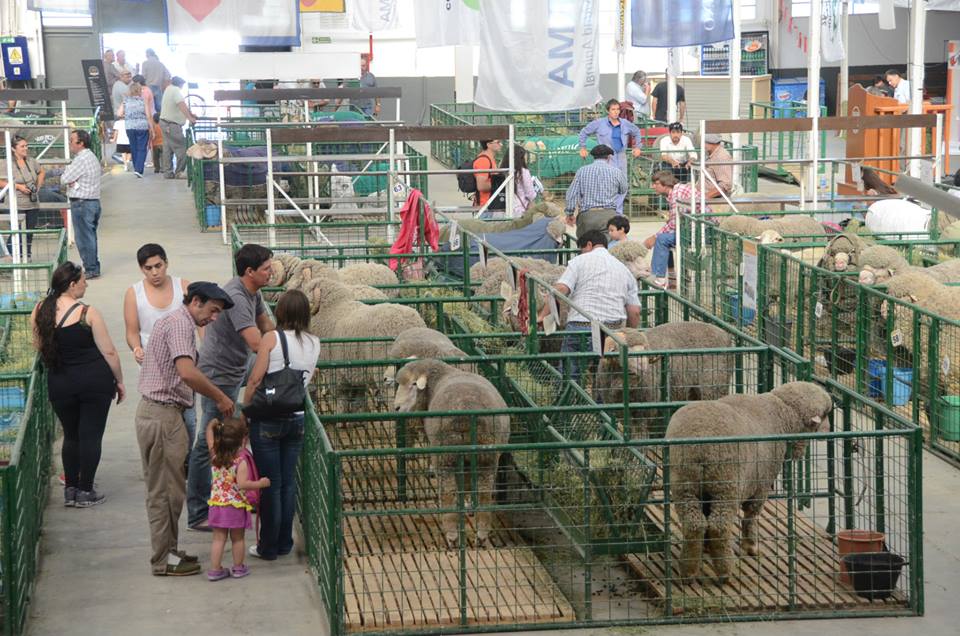 Rural: Etchevehere pidió un cambio de Gobierno