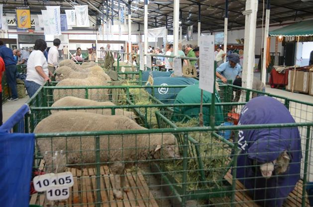 “En la Rural quieren volver a los ‘90”
