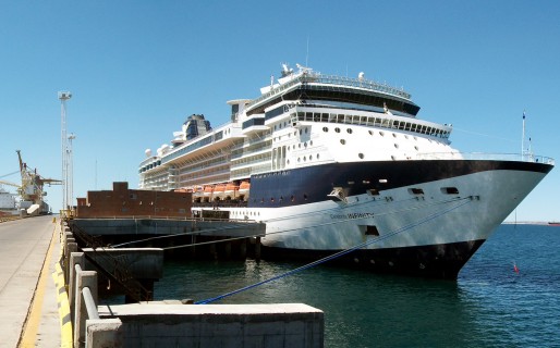 La temporada de cruceros en Madryn tuvo más de 43.000 visitantes