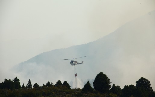 El incendio de Cholila está detenido