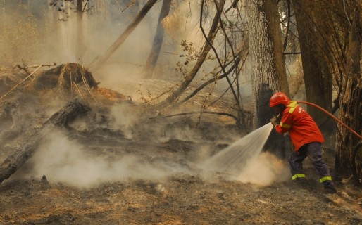 Más de un centenar de brigadistas de otras provincias se suman al combate del fuego