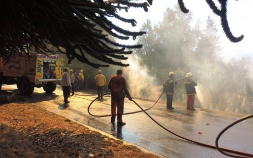 Apoyo a brigadistas permitió salvar la Villa Futalaufquen