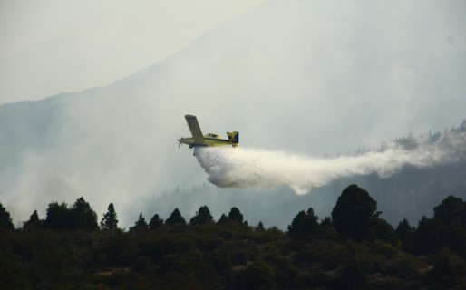 Está controlado el avance del incendio en la Cordillera