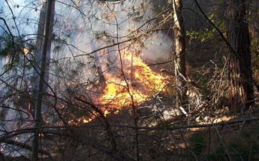 Sería intencional nuevo foco de incendio en la Cordillera