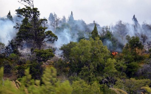Se desató otro incendio en el Parque Los Alerces