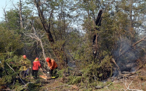 Una buena: Están controlados todos los incendios forestales