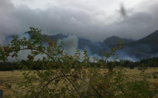 “Los dasnevistas se borraron 45 días y ahora aparecen para la foto”