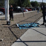 muerto caleta