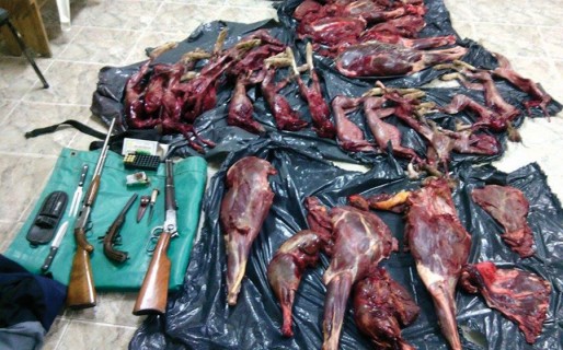 Atrapan a cazadores con armas de fuego y animales faenados