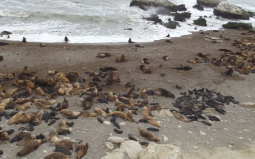 Reserva Monte Loayza: crecimiento de los últimos 5 años